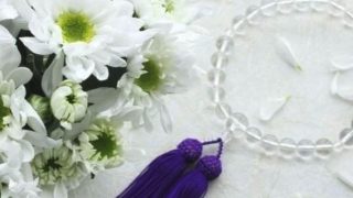 ペットセレモニーウェイビー 西東京支店