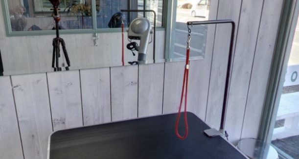 トリミングスタジオ Coco Wan (ココワン)