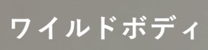 WILD BODY ワイルドボディ