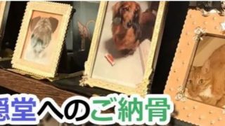 大阪ペット斎場