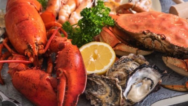 Mt. Cafe SOL / マウントカフェ・ソル