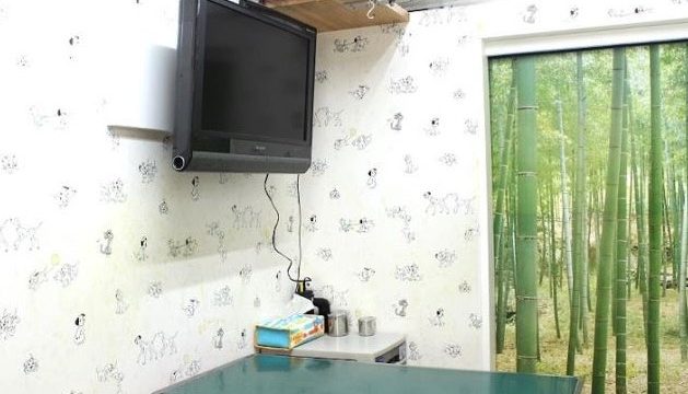 厚木ひまわり動物病院