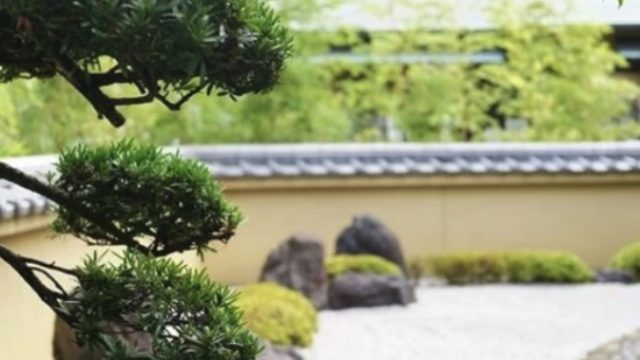 株式会社大住緑栄 熊本の伐採業者 剪定 造園