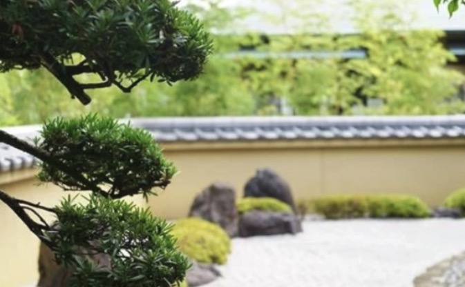 株式会社大住緑栄 熊本の伐採業者 剪定 造園